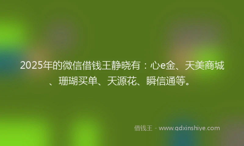 2025年的微信借钱王静晓有：心e金、天美商城、珊瑚买单、天源花、瞬信通等。