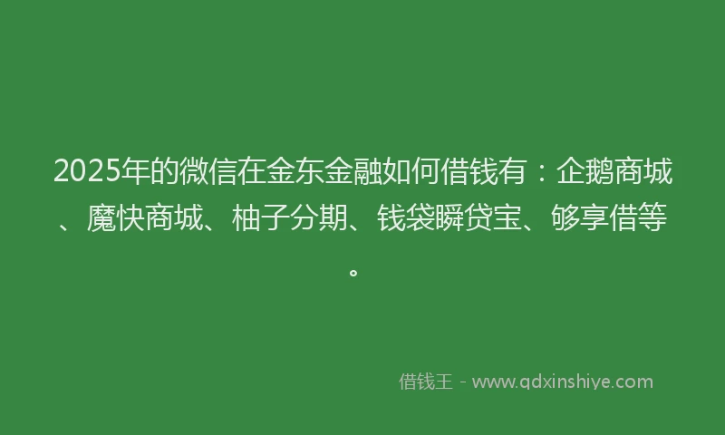 2025年的微信在金东金融如何借钱有：企鹅商城、魔快商城、柚子分期、钱袋瞬贷宝、够享借等。
