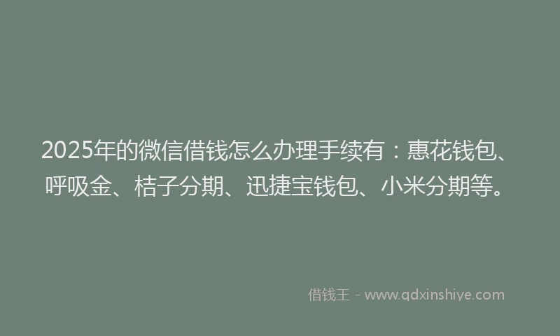 2025年的微信借钱怎么办理手续有：惠花钱包、呼吸金、桔子分期、迅捷宝钱包、小米分期等。