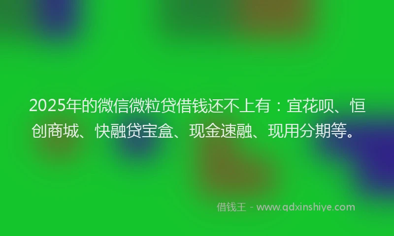 2025年的微信微粒贷借钱还不上有：宜花呗、恒创商城、快融贷宝盒、现金速融、现用分期等。