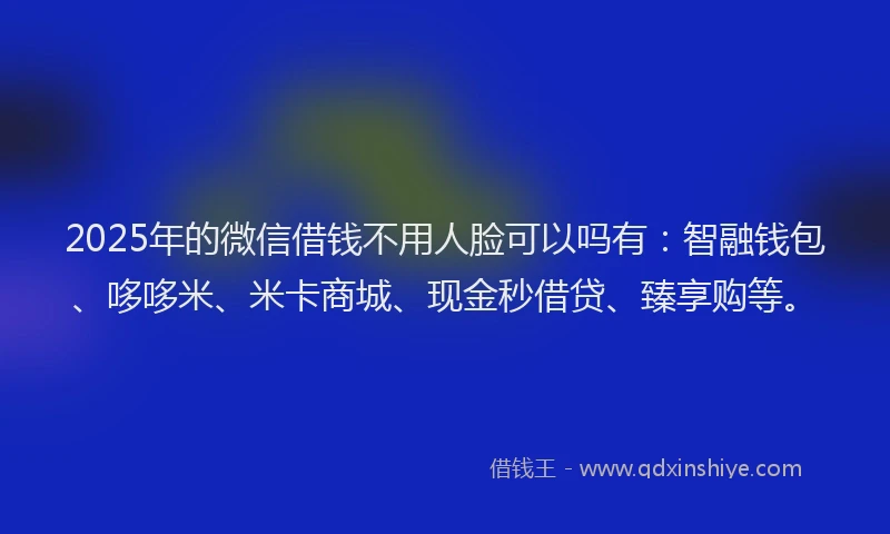 2025年的微信借钱不用人脸可以吗有：智融钱包、哆哆米、米卡商城、现金秒借贷、臻享购等。