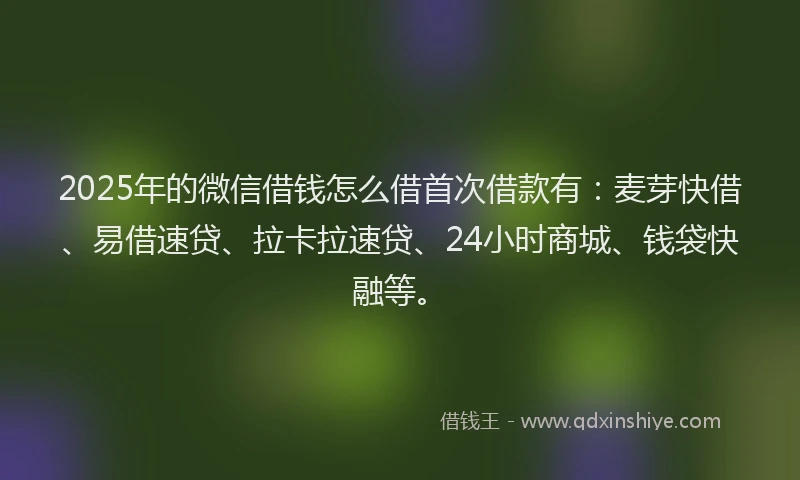 2025年的微信借钱怎么借首次借款有：麦芽快借、易借速贷、拉卡拉速贷、24小时商城、钱袋快融等。