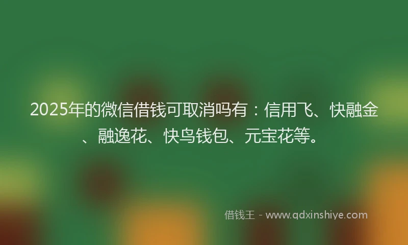 2025年的微信借钱可取消吗有：信用飞、快融金、融逸花、快鸟钱包、元宝花等。