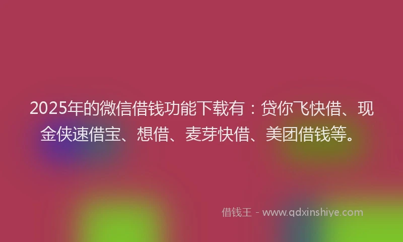 2025年的微信借钱功能下载有：贷你飞快借、现金侠速借宝、想借、麦芽快借、美团借钱等。