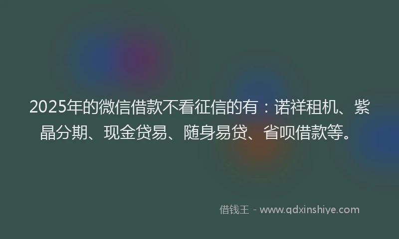 2025年的微信借款不看征信的有：诺祥租机、紫晶分期、现金贷易、随身易贷、省呗借款等。