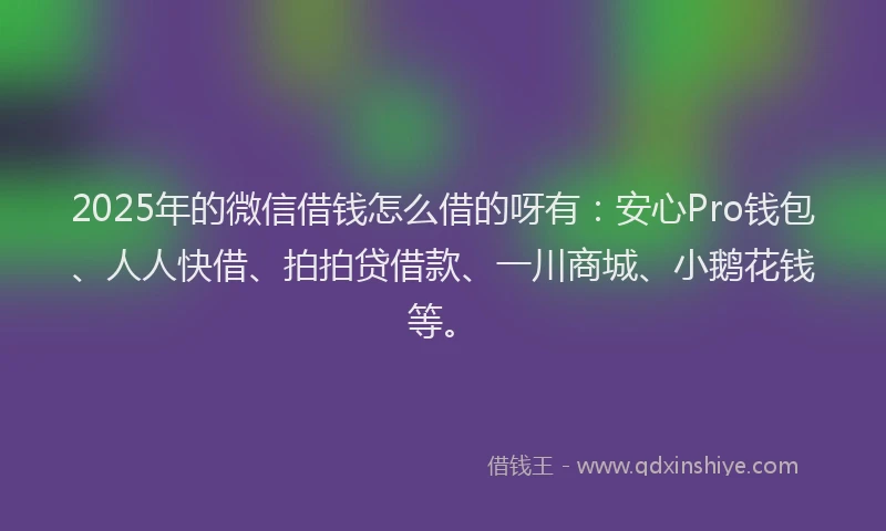 2025年的微信借钱怎么借的呀有：安心Pro钱包、人人快借、拍拍贷借款、一川商城、小鹅花钱等。