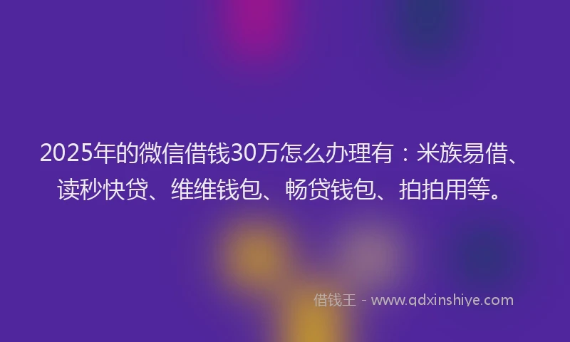 2025年的微信借钱30万怎么办理有：米族易借、读秒快贷、维维钱包、畅贷钱包、拍拍用等。