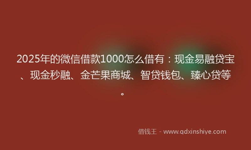 2025年的微信借款1000怎么借有：现金易融贷宝、现金秒融、金芒果商城、智贷钱包、臻心贷等。
