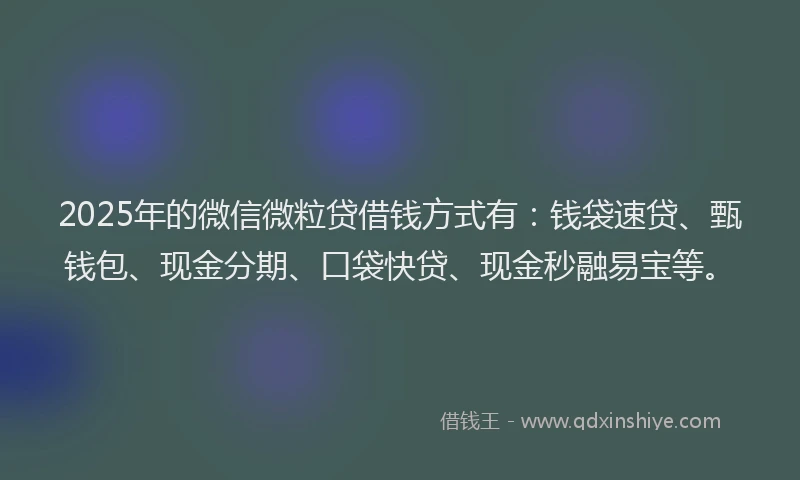 2025年的微信微粒贷借钱方式有：钱袋速贷、甄钱包、现金分期、口袋快贷、现金秒融易宝等。