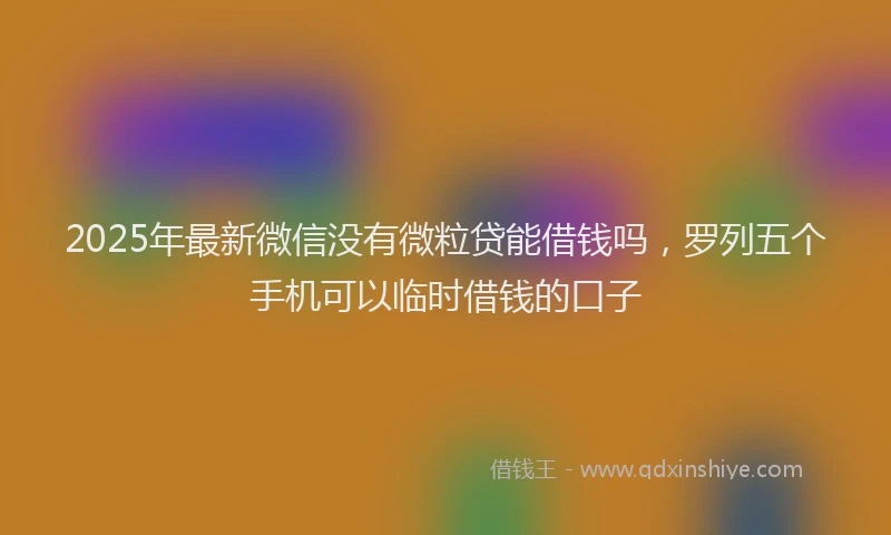 2025年最新微信没有微粒贷能借钱吗，罗列五个手机可以临时借钱的口子