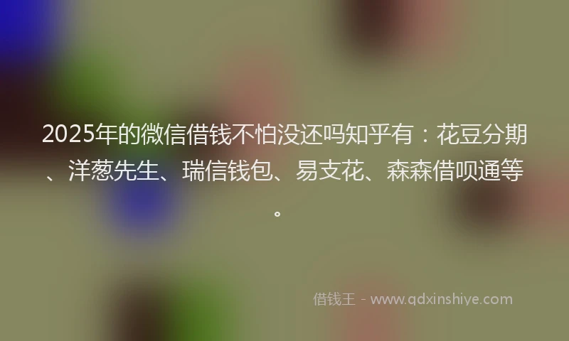2025年的微信借钱不怕没还吗知乎有：花豆分期、洋葱先生、瑞信钱包、易支花、森森借呗通等。