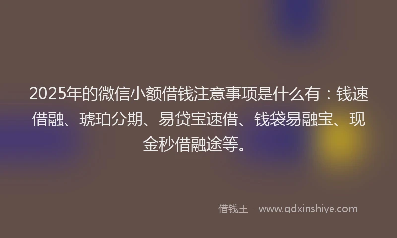 2025年的微信小额借钱注意事项是什么有：钱速借融、琥珀分期、易贷宝速借、钱袋易融宝、现金秒借融途等。