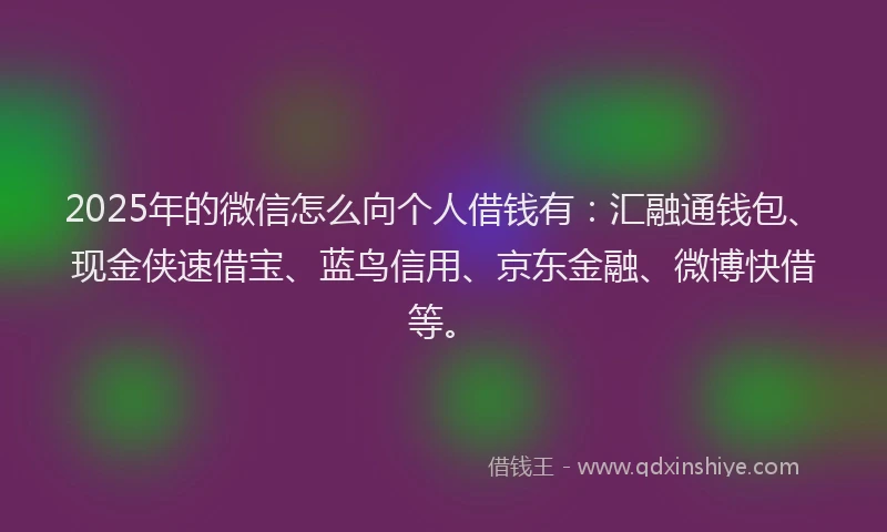 2025年的微信怎么向个人借钱有：汇融通钱包、现金侠速借宝、蓝鸟信用、京东金融、微博快借等。