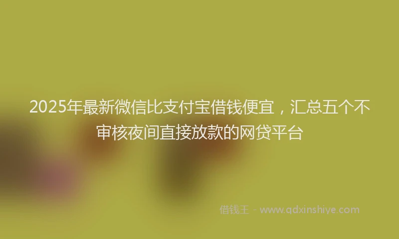 2025年最新微信比支付宝借钱便宜，汇总五个不审核夜间直接放款的网贷平台