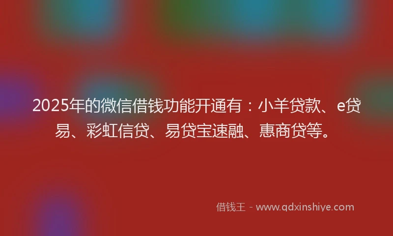 2025年的微信借钱功能开通有：小羊贷款、e贷易、彩虹信贷、易贷宝速融、惠商贷等。