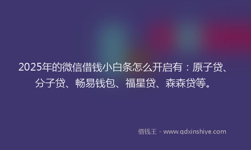 2025年的微信借钱小白条怎么开启有：原子贷、分子贷、畅易钱包、福星贷、森森贷等。