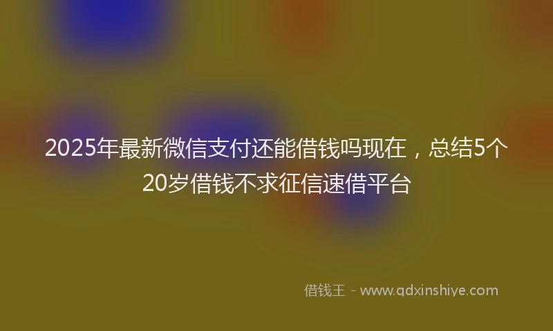 2025年最新微信支付还能借钱吗现在，总结5个20岁借钱不求征信速借平台