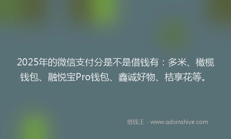 2025年的微信支付分是不是借钱有：多米、橄榄钱包、融悦宝Pro钱包、鑫诚好物、桔享花等。