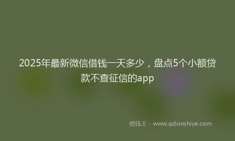 2025年最新微信借钱一天多少，盘点5个小额贷款不查征信的app