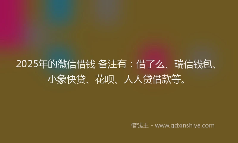 2025年的微信借钱 备注有：借了么、瑞信钱包、小象快贷、花呗、人人贷借款等。