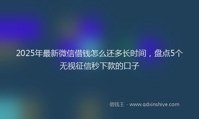2025年最新微信借钱怎么还多长时间，盘点5个无视征信秒下款的口子