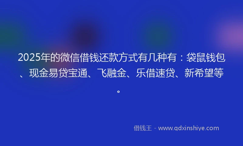 2025年的微信借钱还款方式有几种有：袋鼠钱包、现金易贷宝通、飞融金、乐借速贷、新希望等。