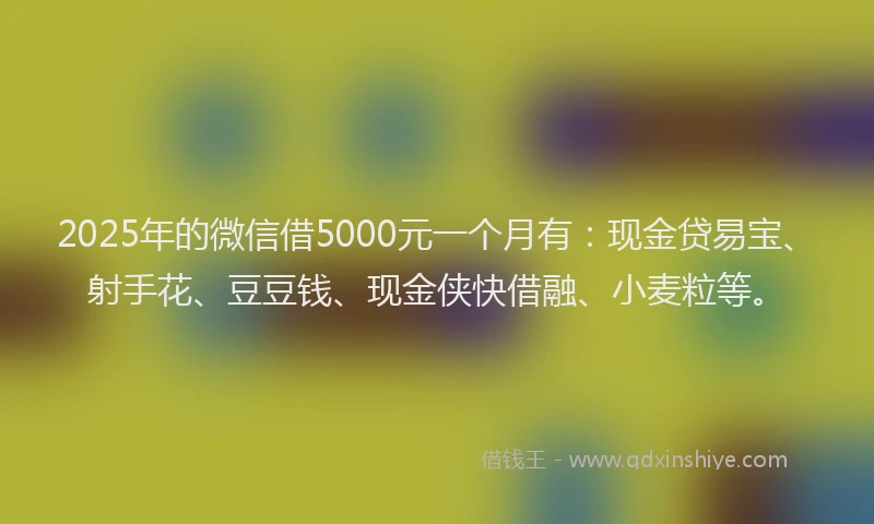 2025年的微信借5000元一个月有：现金贷易宝、射手花、豆豆钱、现金侠快借融、小麦粒等。