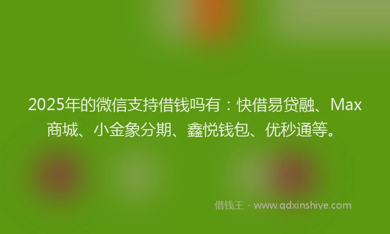 2025年的微信支持借钱吗有：快借易贷融、Max商城、小金象分期、鑫悦钱包、优秒通等。