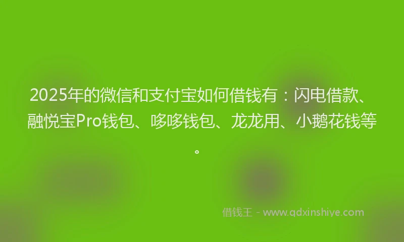 2025年的微信和支付宝如何借钱有：闪电借款、融悦宝Pro钱包、哆哆钱包、龙龙用、小鹅花钱等。