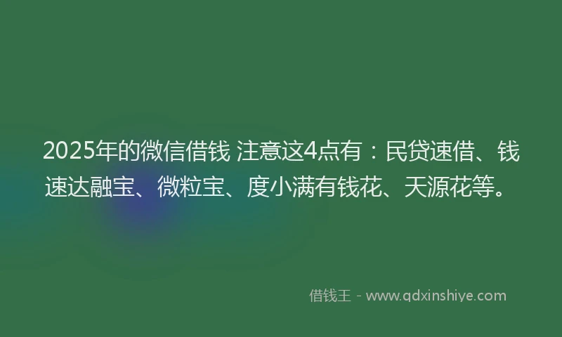 2025年的微信借钱 注意这4点有：民贷速借、钱速达融宝、微粒宝、度小满有钱花、天源花等。
