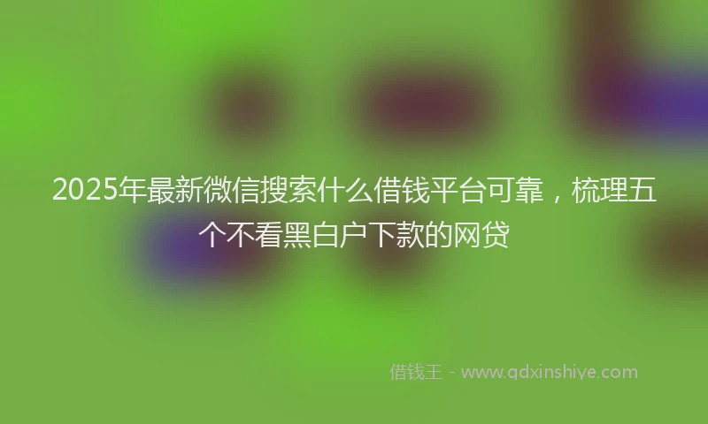 2025年最新微信搜索什么借钱平台可靠，梳理五个不看黑白户下款的网贷
