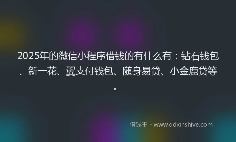 2025年的微信小程序借钱的有什么有：钻石钱包、新一花、翼支付钱包、随身易贷、小金鹿贷等。