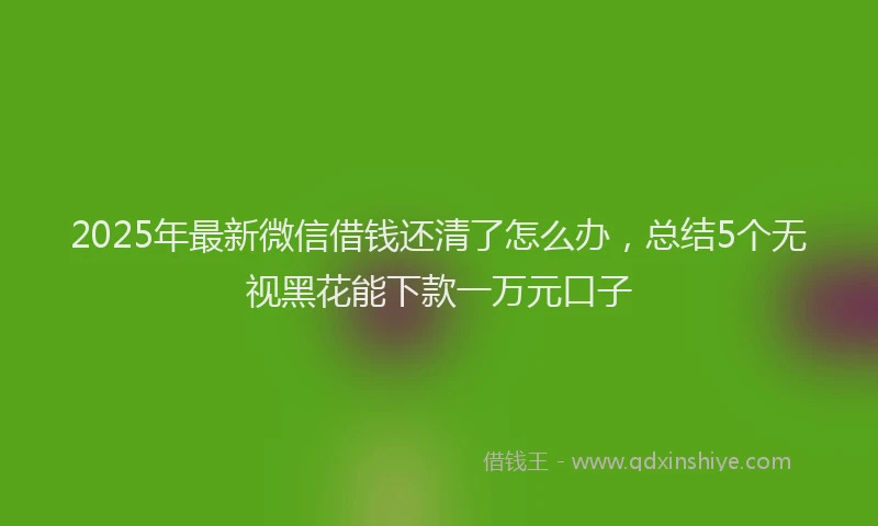 2025年最新微信借钱还清了怎么办，总结5个无视黑花能下款一万元口子