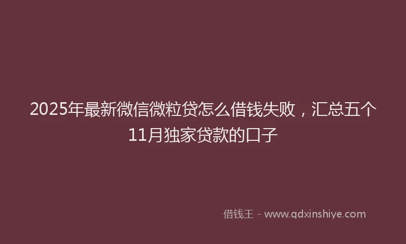 2025年最新微信微粒贷怎么借钱失败，汇总五个11月独家贷款的口子