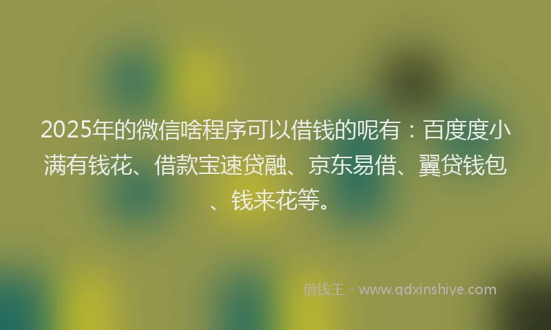2025年的微信啥程序可以借钱的呢有：百度度小满有钱花、借款宝速贷融、京东易借、翼贷钱包、钱来花等。