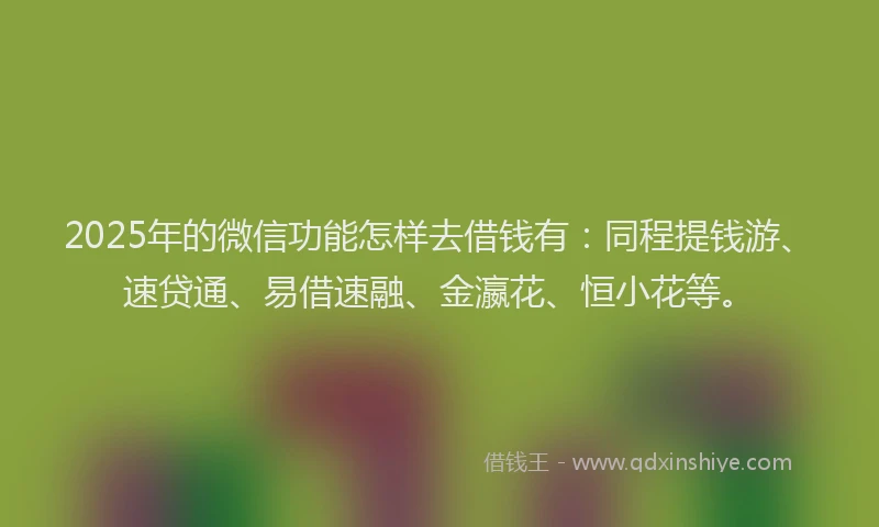 2025年的微信功能怎样去借钱有：同程提钱游、速贷通、易借速融、金瀛花、恒小花等。