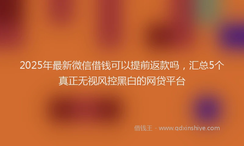 2025年最新微信借钱可以提前返款吗，汇总5个真正无视风控黑白的网贷平台