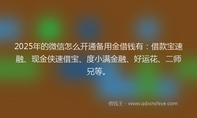 2025年的微信怎么开通备用金借钱有：借款宝速融、现金侠速借宝、度小满金融、好运花、二师兄等。