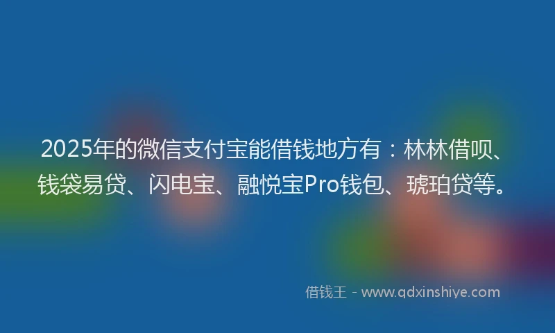 2025年的微信支付宝能借钱地方有：林林借呗、钱袋易贷、闪电宝、融悦宝Pro钱包、琥珀贷等。