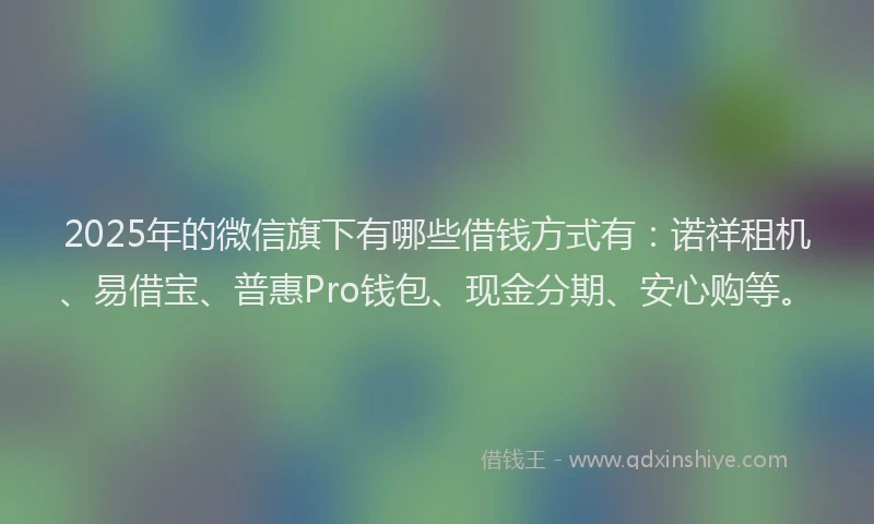 2025年的微信旗下有哪些借钱方式有：诺祥租机、易借宝、普惠Pro钱包、现金分期、安心购等。