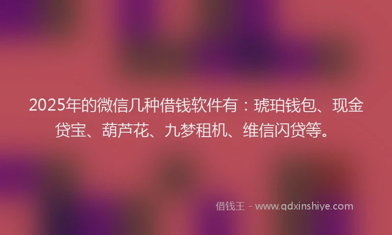 2025年的微信几种借钱软件有：琥珀钱包、现金贷宝、葫芦花、九梦租机、维信闪贷等。