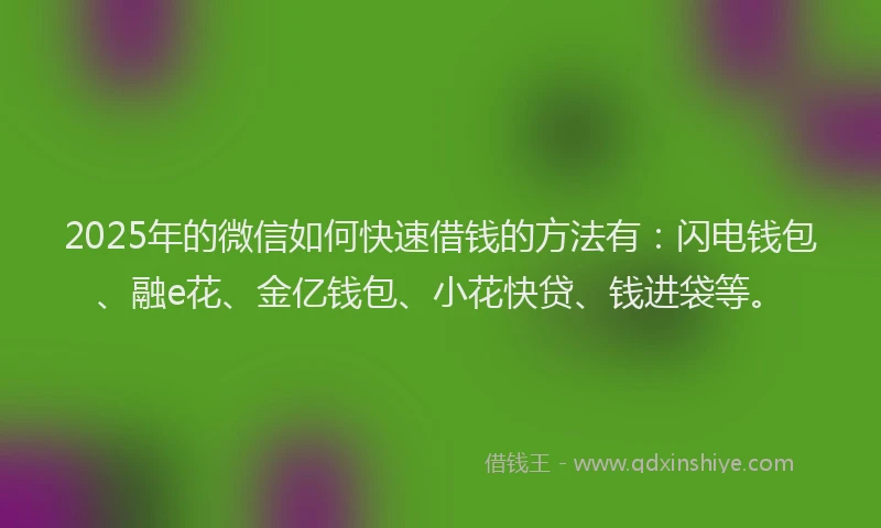 2025年的微信如何快速借钱的方法有：闪电钱包、融e花、金亿钱包、小花快贷、钱进袋等。