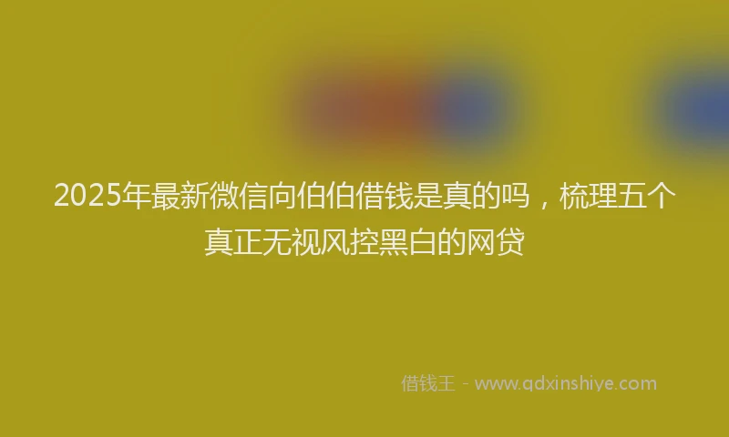 2025年最新微信向伯伯借钱是真的吗，梳理五个真正无视风控黑白的网贷