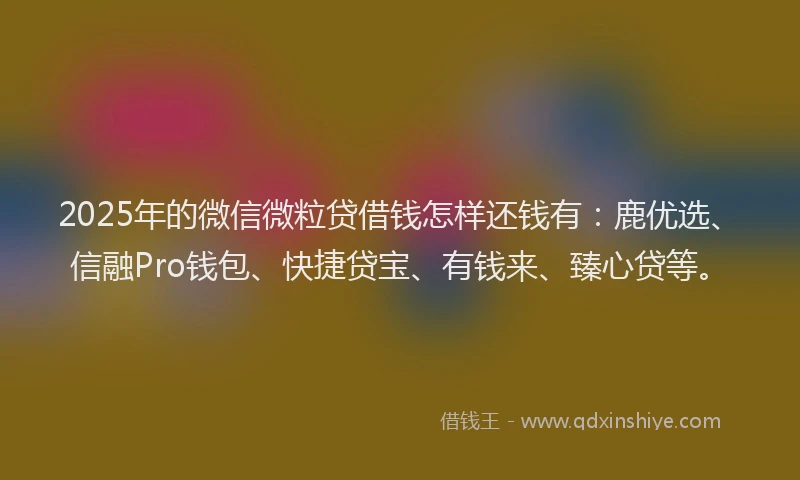 2025年的微信微粒贷借钱怎样还钱有：鹿优选、信融Pro钱包、快捷贷宝、有钱来、臻心贷等。