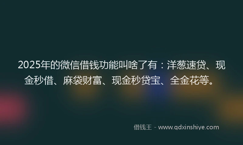 2025年的微信借钱功能叫啥了有：洋葱速贷、现金秒借、麻袋财富、现金秒贷宝、全金花等。