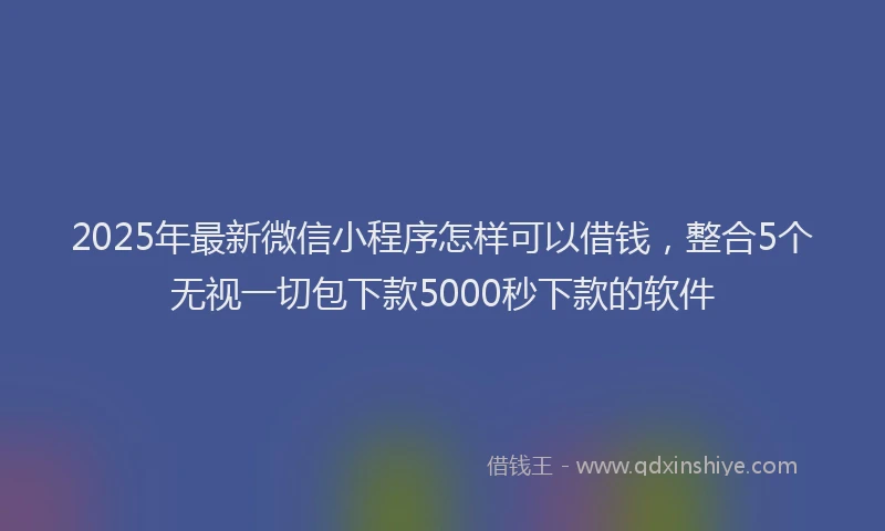 2025年最新微信小程序怎样可以借钱，整合5个无视一切包下款5000秒下款的软件