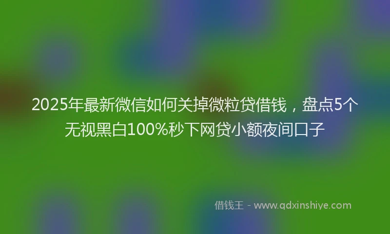 2025年最新微信如何关掉微粒贷借钱，盘点5个无视黑白100%秒下网贷小额夜间口子