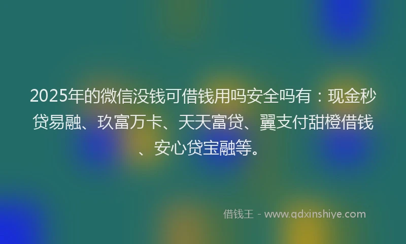 2025年的微信没钱可借钱用吗安全吗有：现金秒贷易融、玖富万卡、天天富贷、翼支付甜橙借钱、安心贷宝融等。