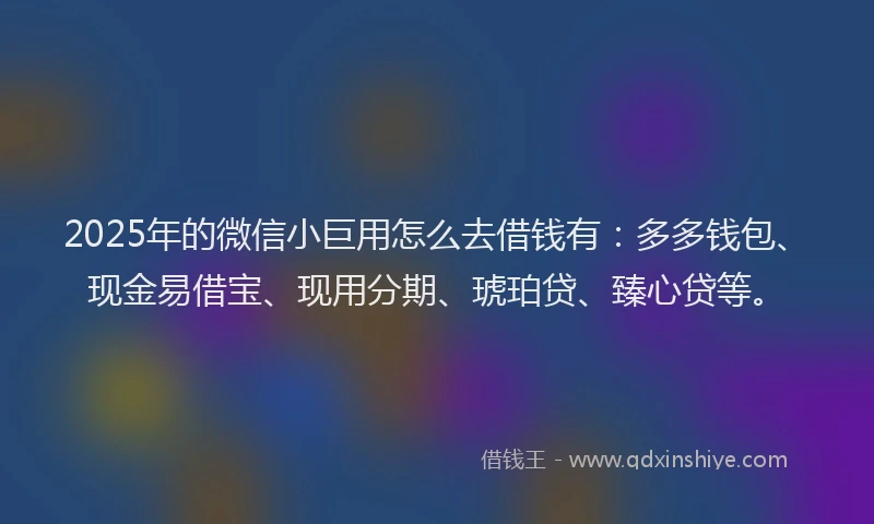 2025年的微信小巨用怎么去借钱有：多多钱包、现金易借宝、现用分期、琥珀贷、臻心贷等。