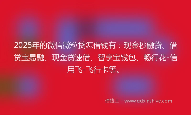 2025年的微信微粒贷怎借钱有：现金秒融贷、借贷宝易融、现金贷速借、智享宝钱包、畅行花-信用飞-飞行卡等。